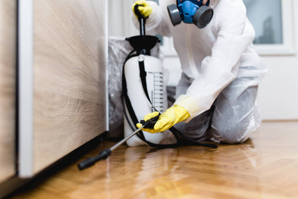 Best Affordable Pest Control Services  in New Franklin, OH