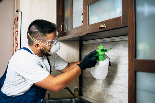 Best Insect Control  in New Franklin, OH
