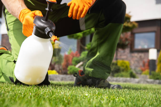 Reliable New Franklin, OH Pest Control Solutions