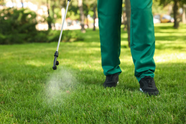 Best Best Pest Control Companies  in New Franklin, OH