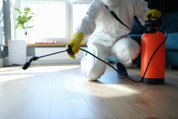 Best Flea Control Services  in New Franklin, OH