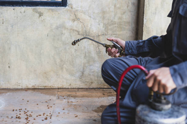 Best Residential Pest Control  in New Franklin, OH